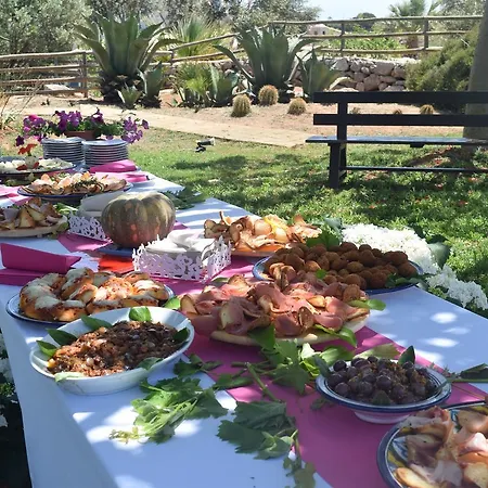 Il Giardino Delle Aloe Φαβινιάνα