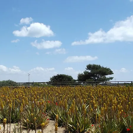 Εξοχικό σπίτι Il Giardino Delle Aloe