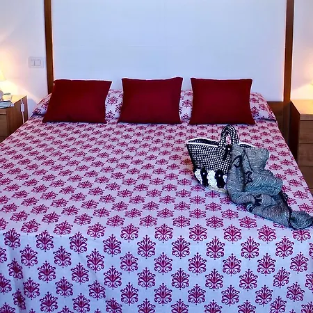 Il Giardino Delle Aloe * 파뷔냐나도