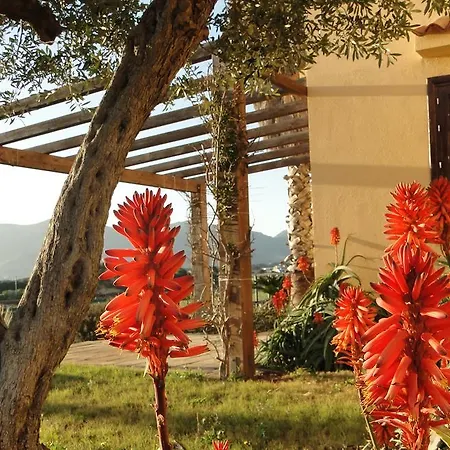 Il Giardino Delle Aloe