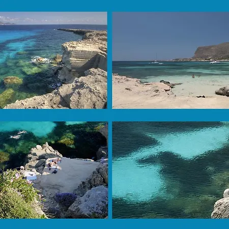 Il Giardino Delle Aloe