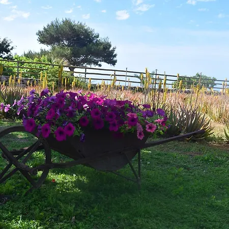 Il Giardino Delle Aloe 컨트리하우스