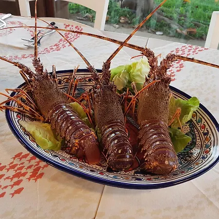 컨트리하우스 Il Giardino Delle Aloe *