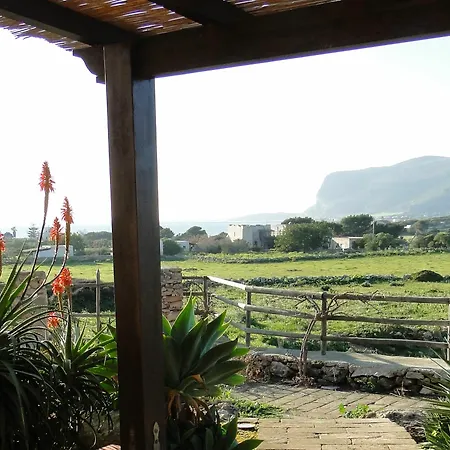 Il Giardino Delle Aloe *