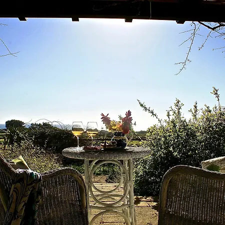 Il Giardino Delle Aloe *