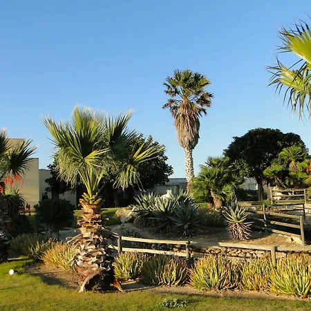 Il Giardino Delle Aloe