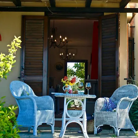 Il Giardino Delle Aloe